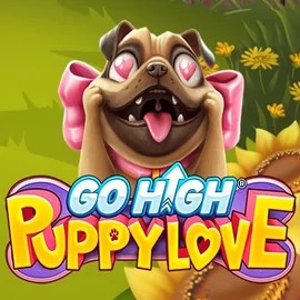Go High Puppy Love logo by RubyPlay Tikitaka Casino